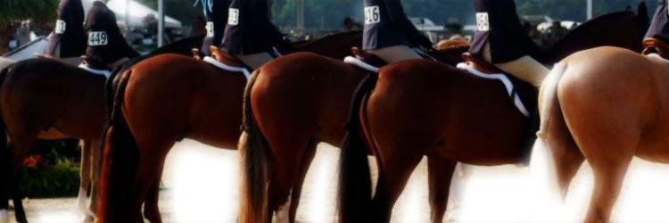 ITRShowBows's profile banner image