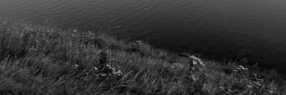 twimflamebruise's profile banner image