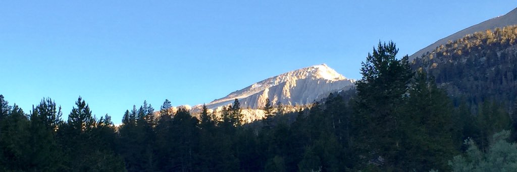 _Otter's profile banner image