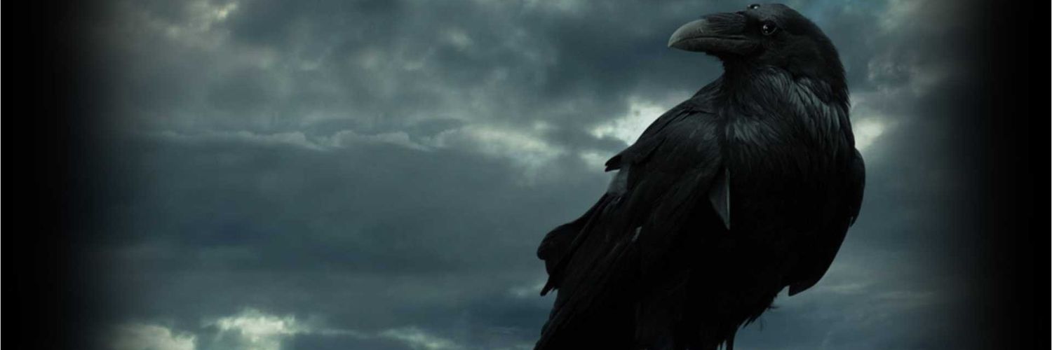 The Warlock Whorelock banner