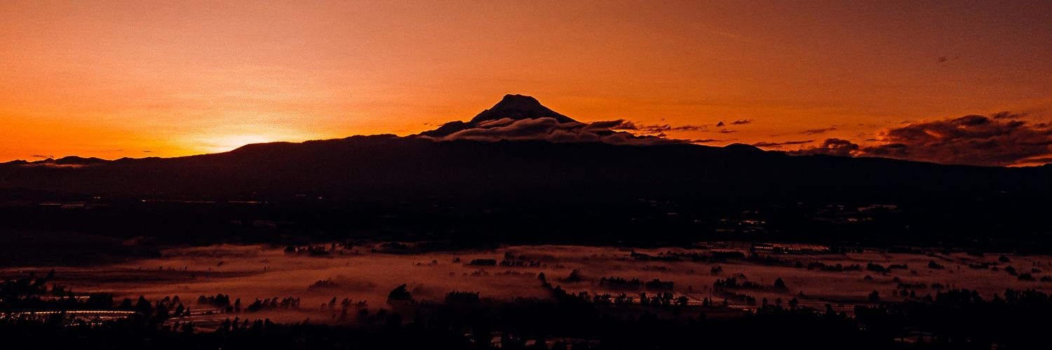 djxavierf's profile banner image