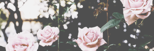 JustLycaGGGG's profile banner image