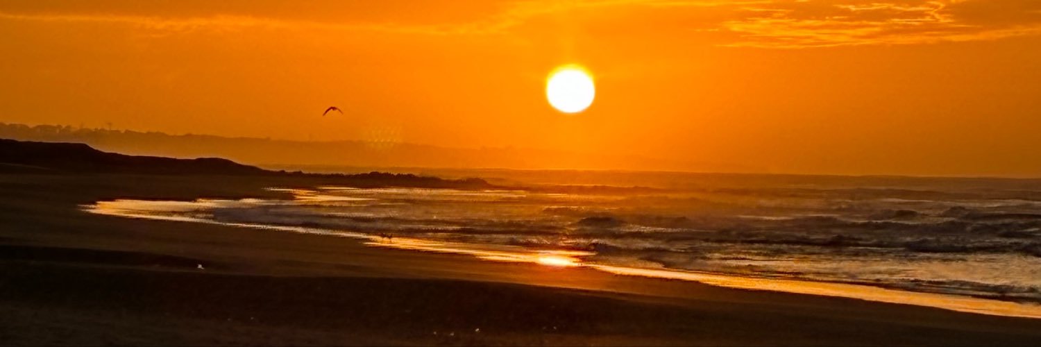 mariul88's profile banner image