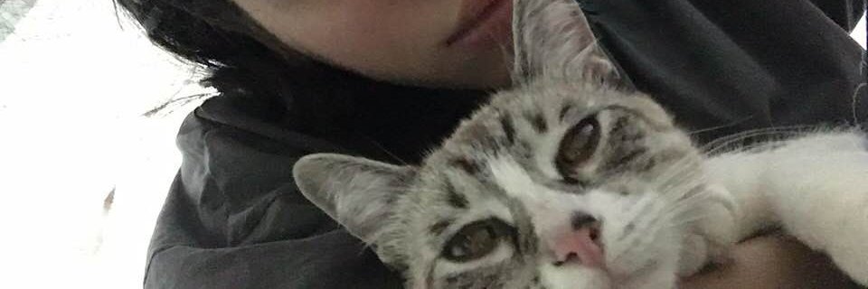 archiKAT99's profile banner image
