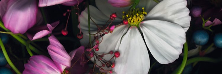 katelynrose20's profile banner image