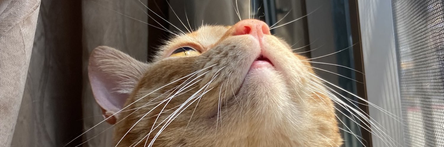 danielarooberth's profile banner image