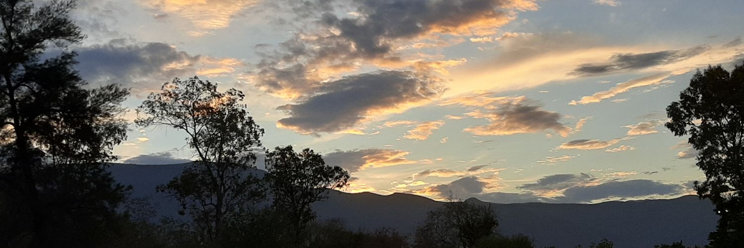 AvisArguello's profile banner image