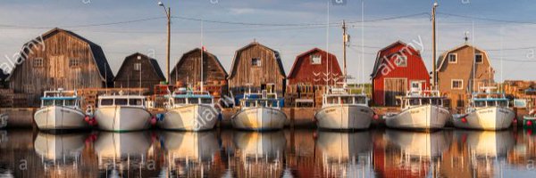 JamieDFox Profile Banner