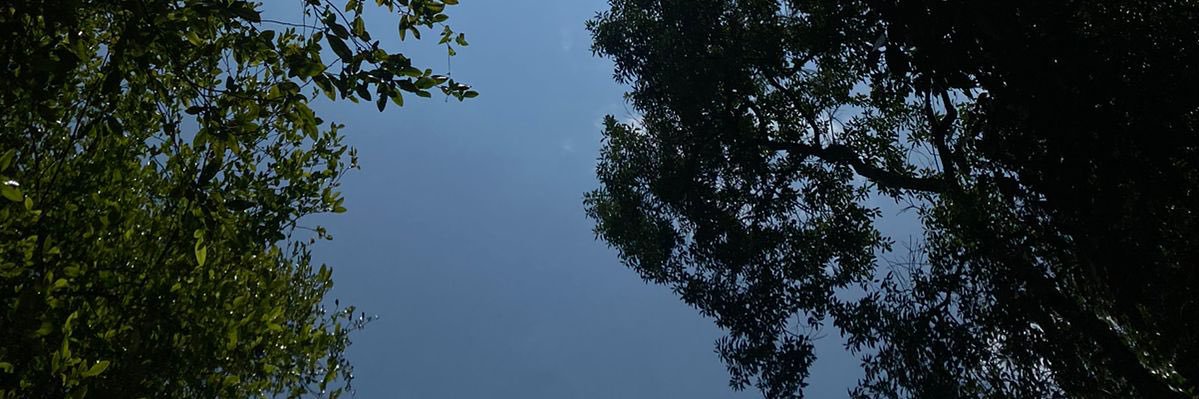 L1n1GR's profile banner image