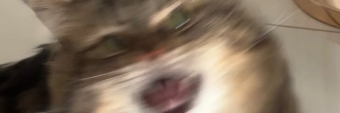 chancake's profile banner image
