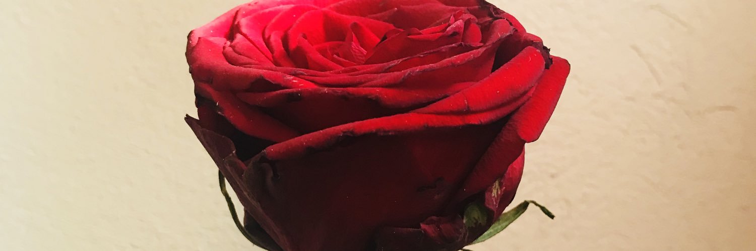 andieymap's profile banner image