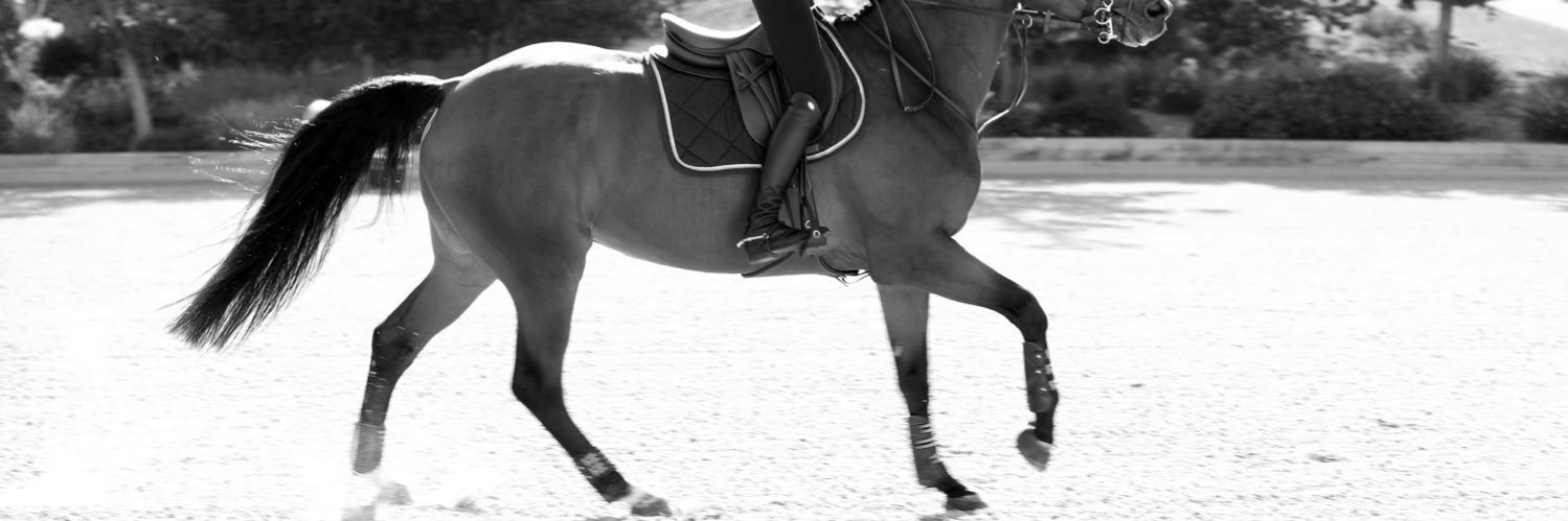 HannahSelleck's profile banner image