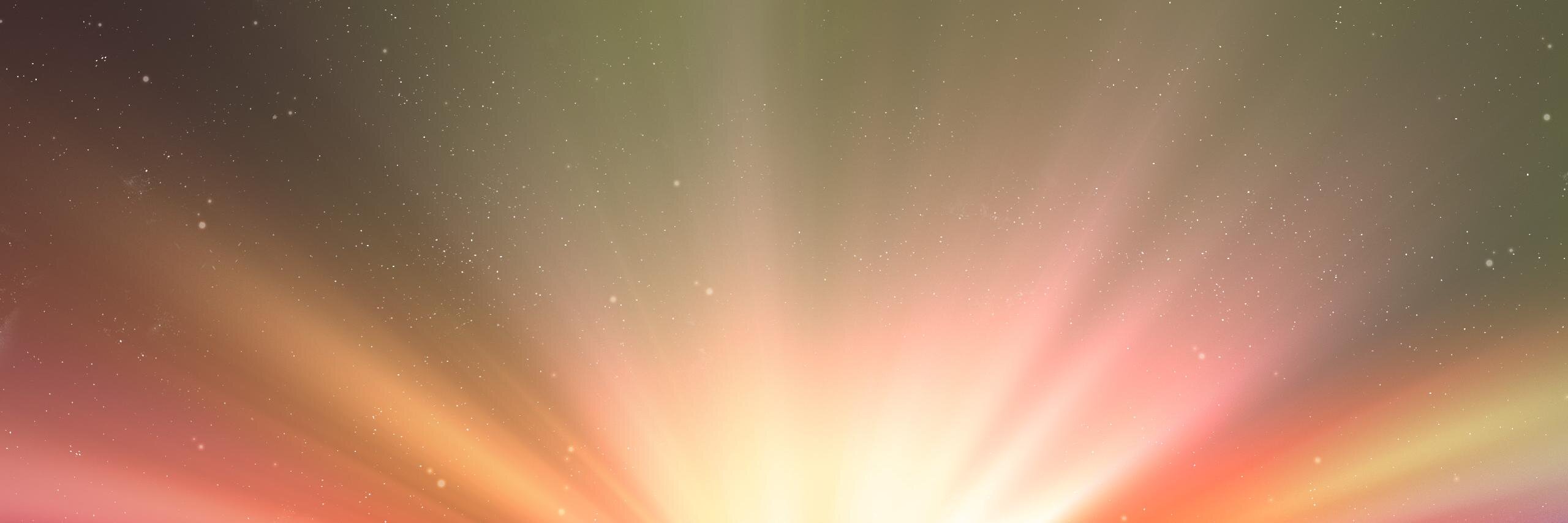 ridda banner