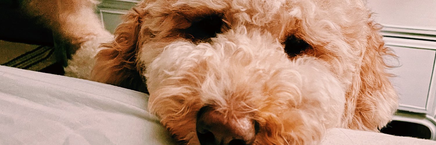 drewcyrus_'s profile banner image
