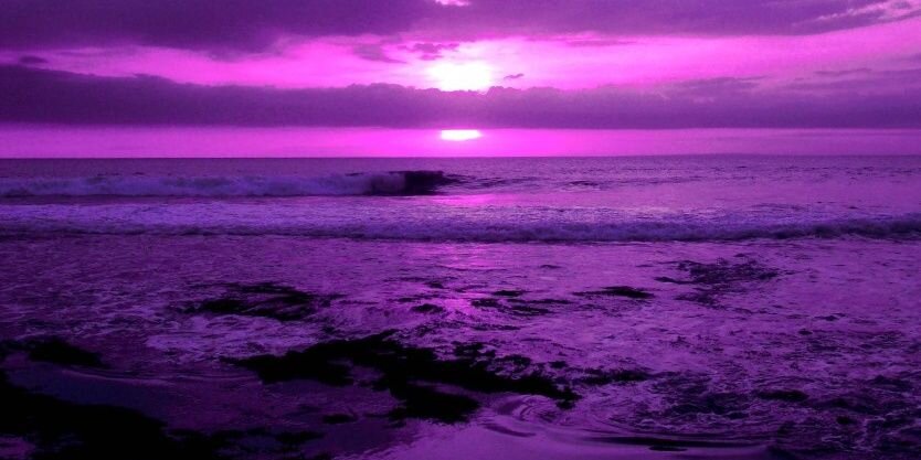 ICS Shropshire banner