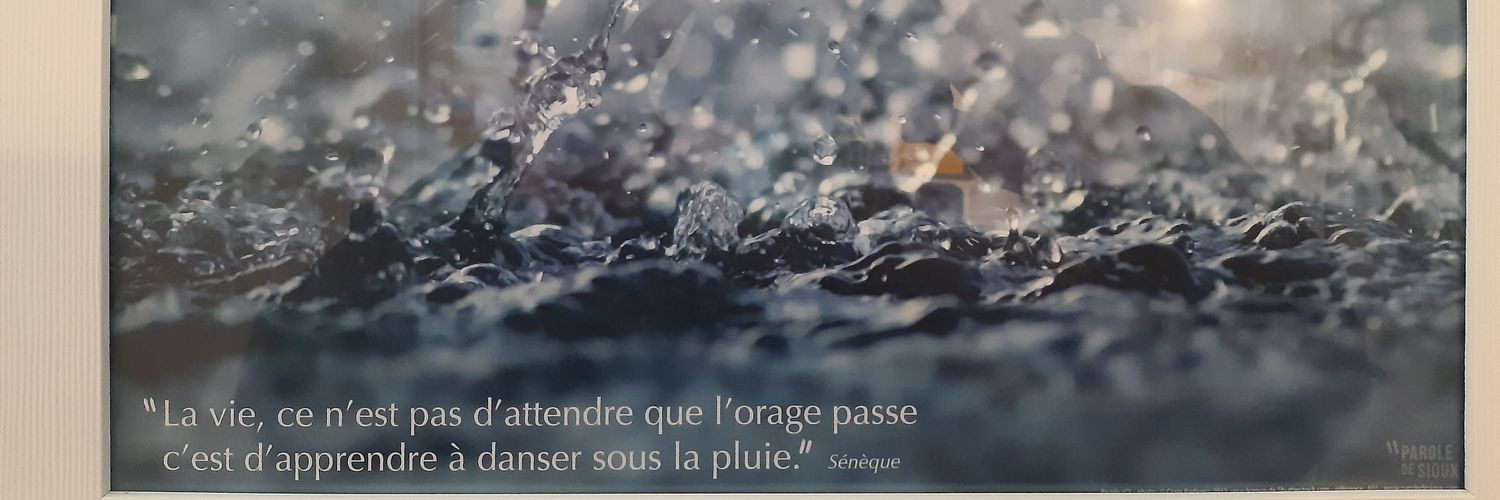 TERPMAN Romain banner