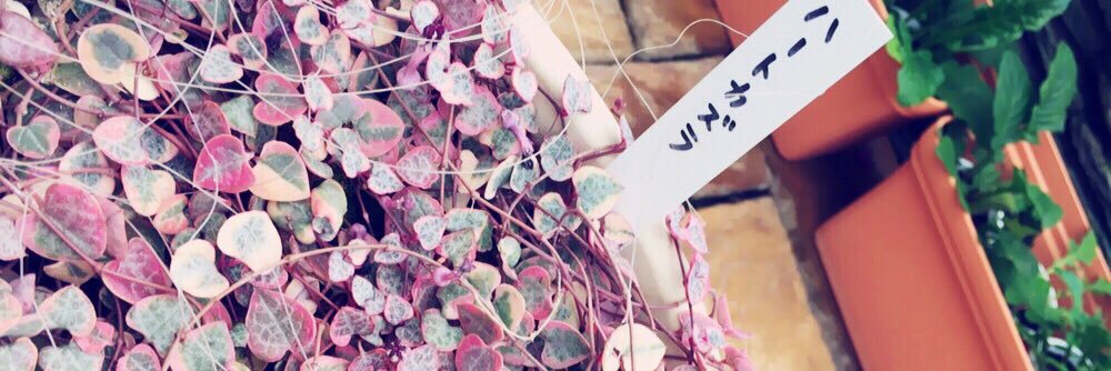 kushi_94's profile banner image