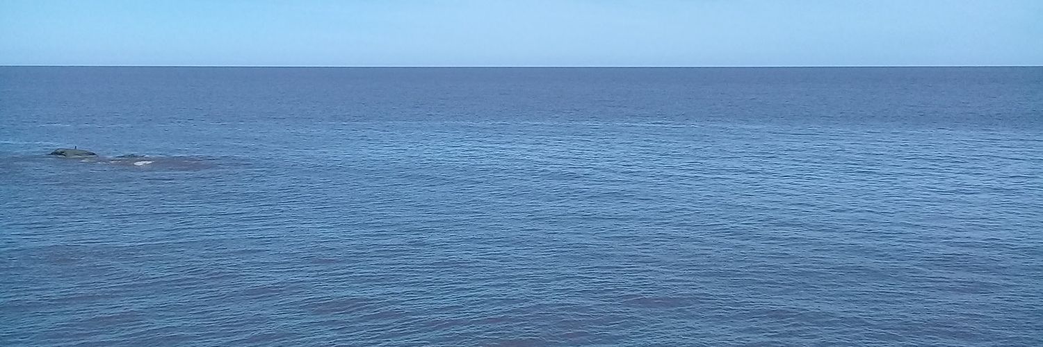vergagus's profile banner image