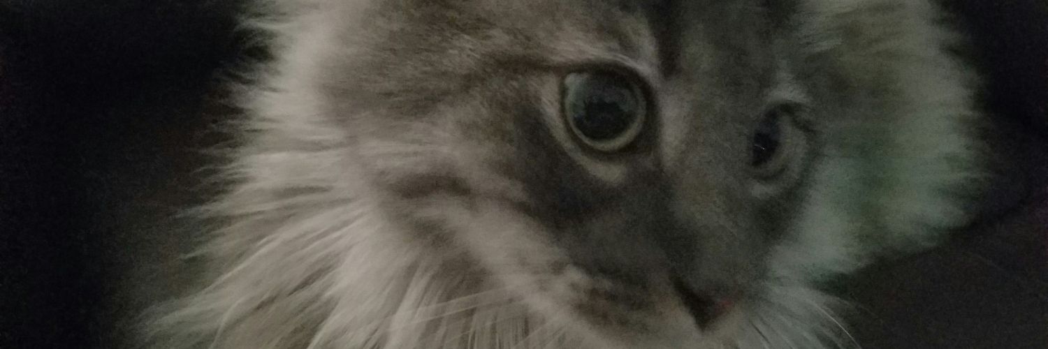 debbienono's profile banner image