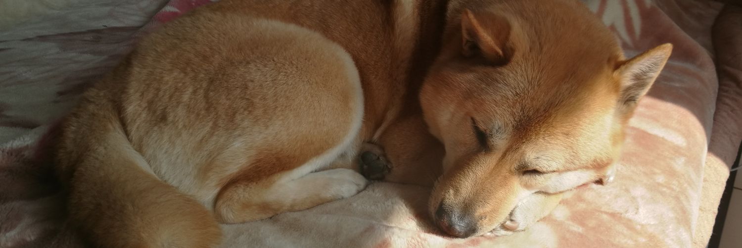 Lostaxia's profile banner image
