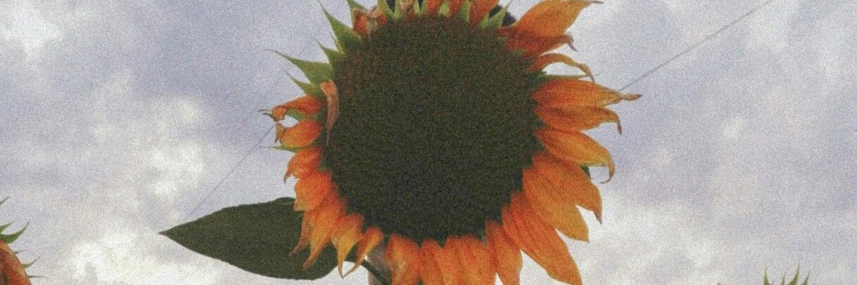 very_vinyl's profile banner image