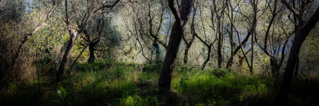 joshsloat's profile banner image