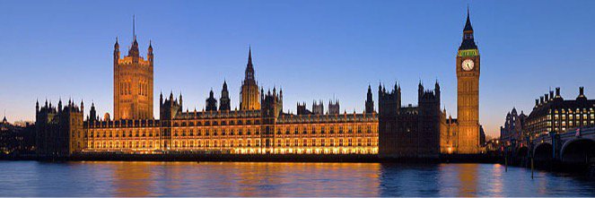 Tom Notorious banner