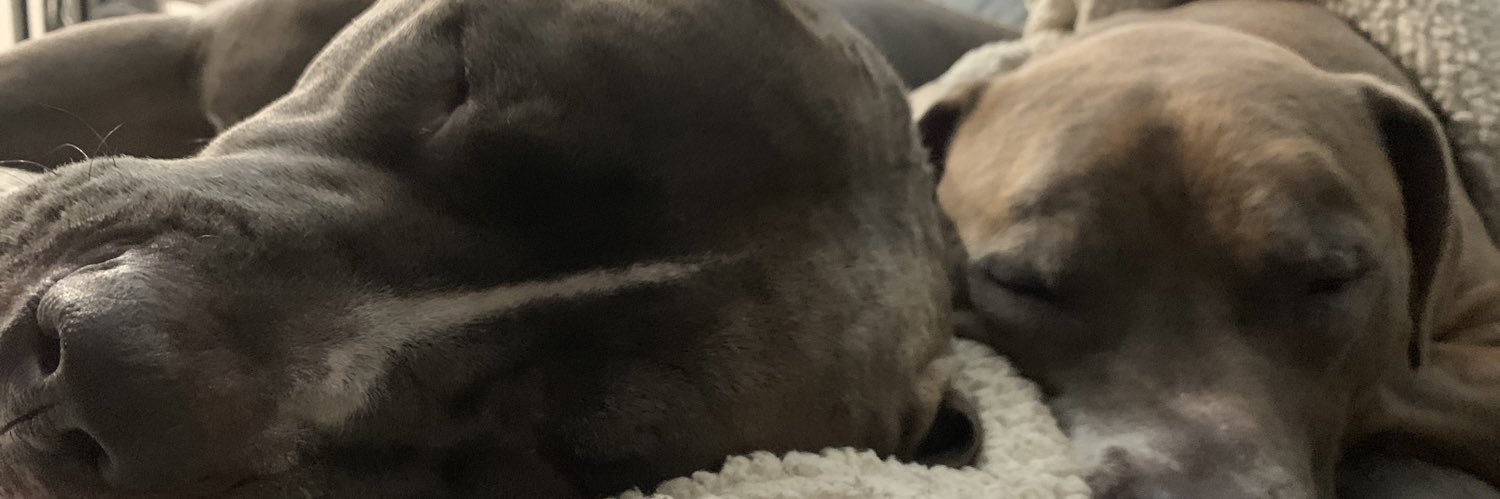 samsumnerr's profile banner image