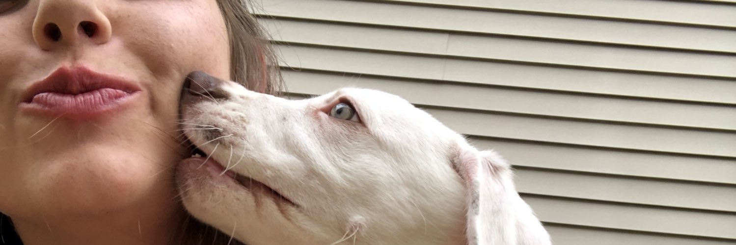 emiliesavannah's profile banner image