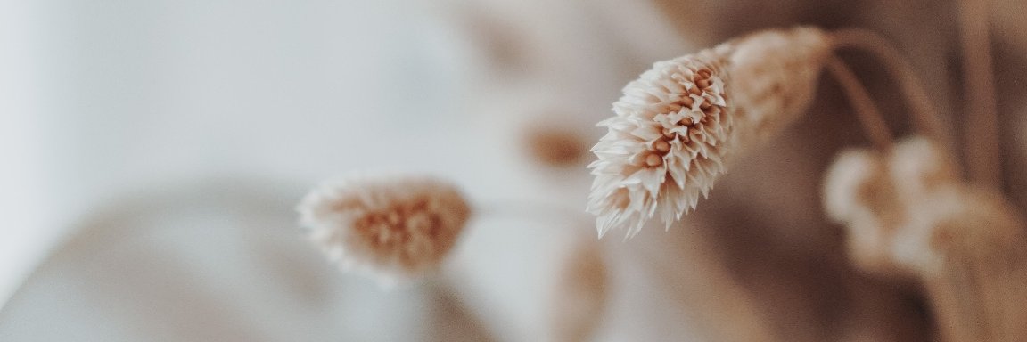mac_ten10's profile banner image