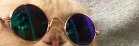 theycallmechuva's profile banner image