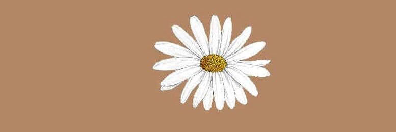 parkjhes's profile banner image