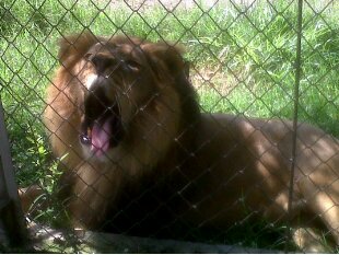 JIMMY FERNANDO banner