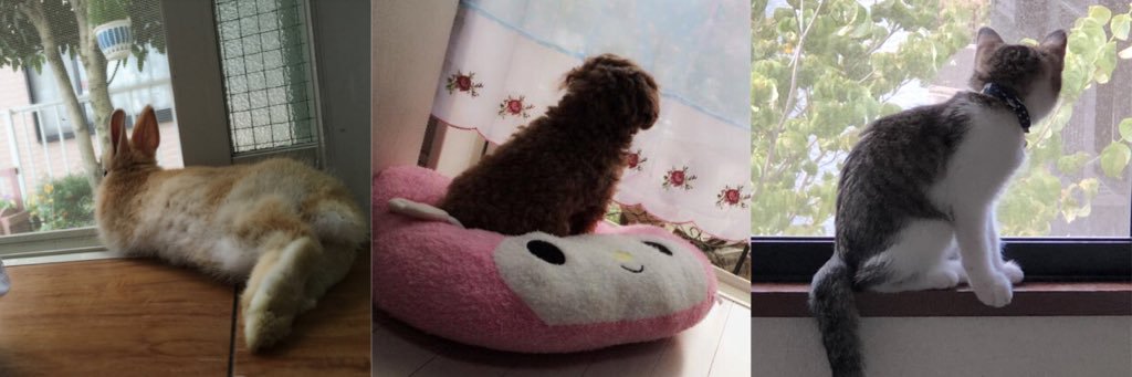 tororo113530's profile banner image