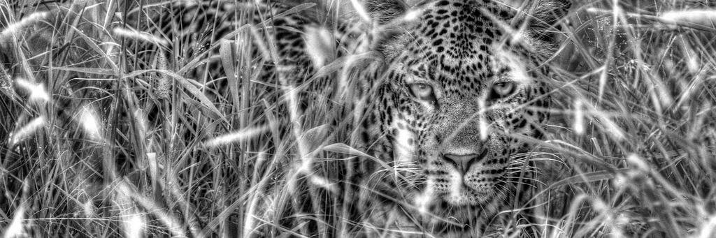 Craig_R_Jackson's profile banner image