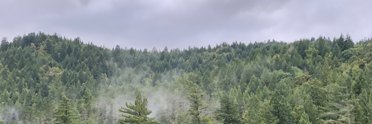 kelplamb's profile banner image
