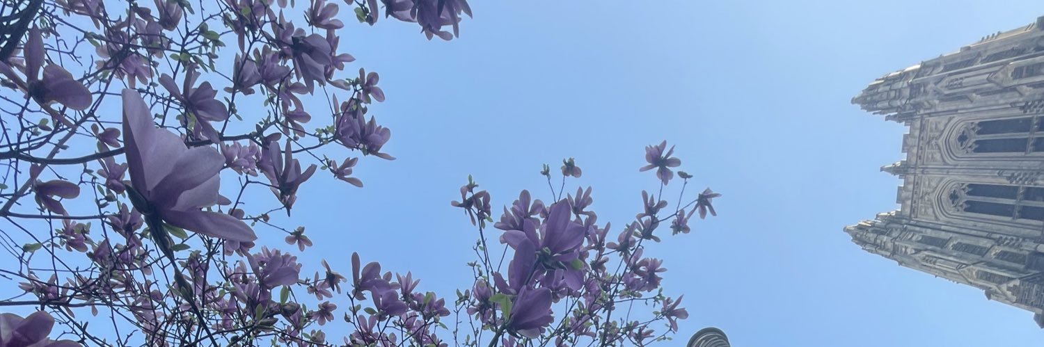 Mrydah's profile banner image