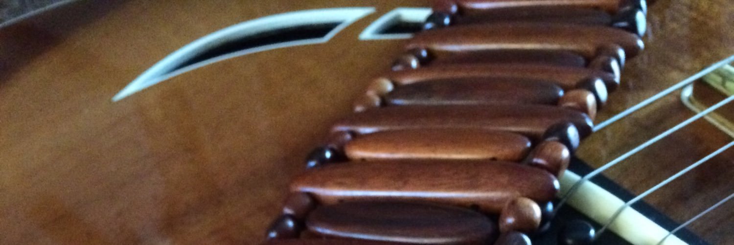 RevoGuitarStrap's profile banner image