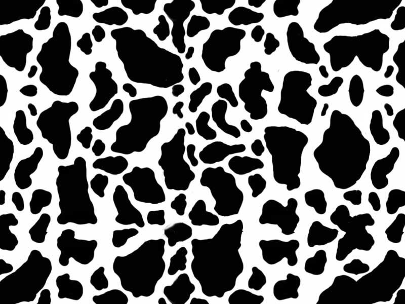 chintull's profile banner image