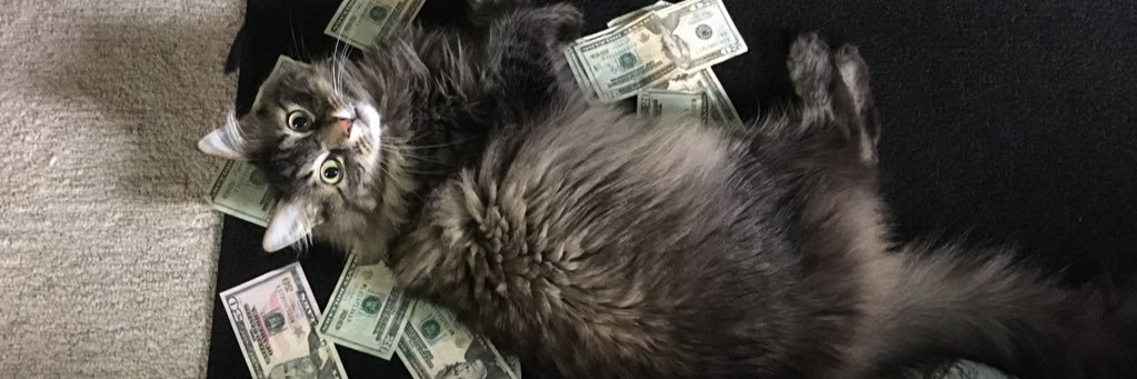 Dusty_Sanor's profile banner image