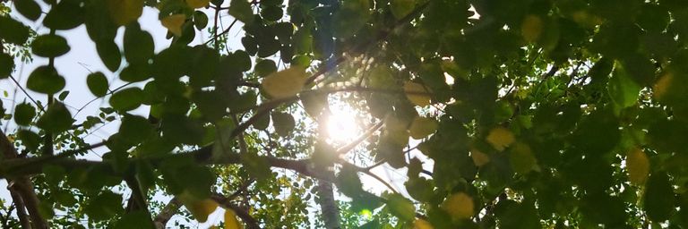 Pemanen energi matahari banner