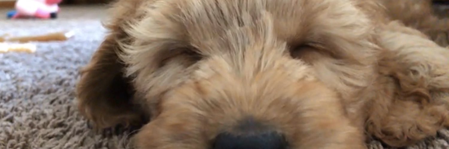 christi_evanss's profile banner image