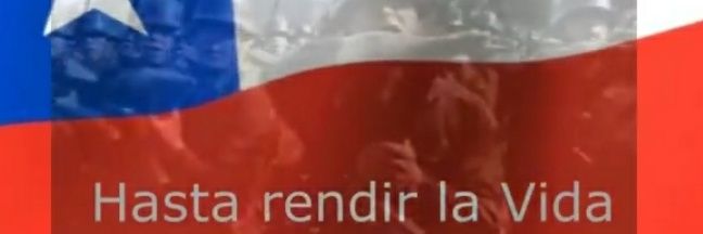 Q SOFIA_PT🇨🇱💚👮‍♂️🇨🇱 🗣🇨🇱🇨🇱🇨🇱🇨🇱🇨🇱 banner