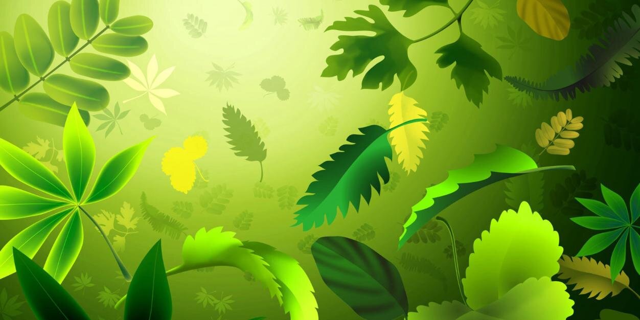 Anne31525's profile banner image