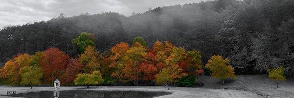 JaredBigham Profile Banner