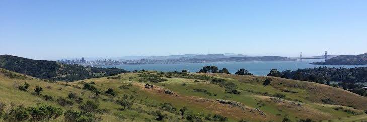 Sébastien Foret banner