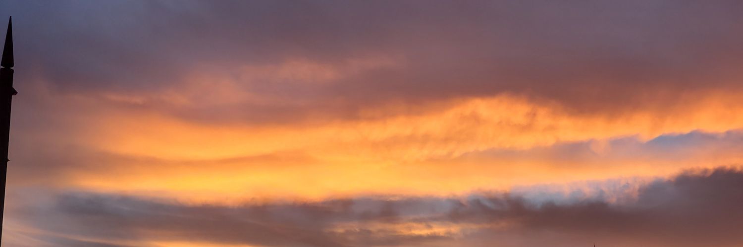 timidrain's profile banner image