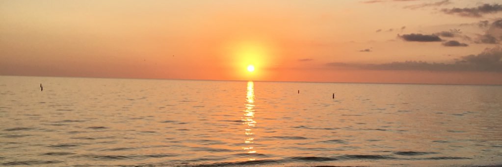 #FamilyMatters-EndTravelBan 🇩🇪🇱🇷 banner