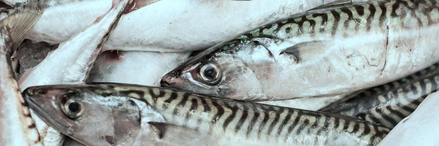 Plymouth Fisheries banner