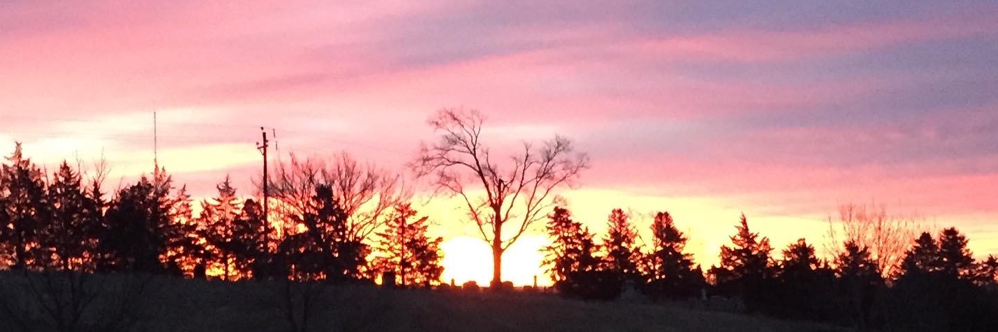 GrossDaniel's profile banner image